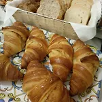 Il Guscio